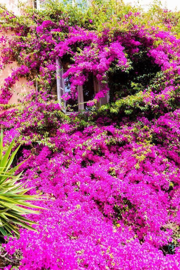Orti 27 Garden Rome Trastevere - Rome Vacation M&D Roma Exterior foto
